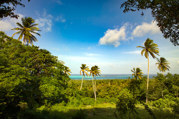 A perfect tropical paradise scene on San Andres Island, featuring palm trees and the beautiful seven colors of the sea.