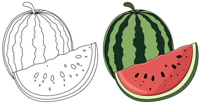Watermelon illustration showing a whole green striped fruit with a large red juicy slice cut in front created in a clean minimal style for food themed designs