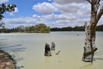 Confluence of Murray and Darling Rivers in Wentworth NSW