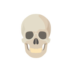 Obraz premium Cartoon Skull Illustration Halloween, Death, and Medical Design