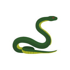 Fototapeta premium Playful Green Snake Illustration on White Background, Wildlife Design