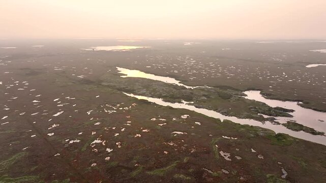 Newfoundland Wilderness