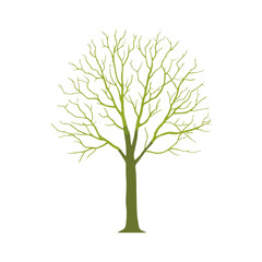 Obraz premium Simple Tree Silhouette Natural Green on White Background