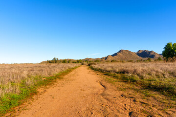 Rural Dirt Road Through Open Fields at Lake Perris