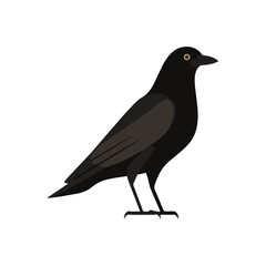 Fototapeta premium Flat Illustration of a Black Crow on White Background