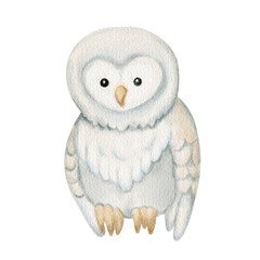 Watercolor cute owl character for winter and New Year, Christmas design. Perfect for nursery decor, kids card, holiday illustration, baby shower and cozy seasonal theme.