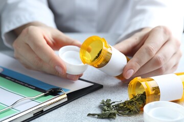 Doctor with dried medicinal herbs at light grey table, closeup