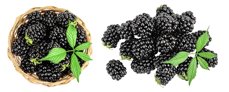 blackberry with leaf in in a wicker basket isolated on a white background. Top view. Flat lay