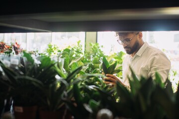 Man shopping for plants in flower shop