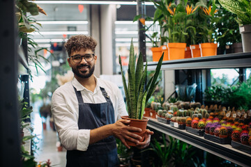 Happy man holding snake plant in flower shop