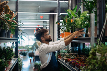 Employee arranging green houseplants in modern flower shop