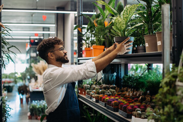 Florist arranging potted plant in flower shop