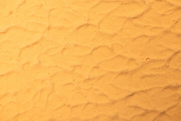 Organic Sand Plaster Wall Texture