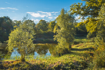 Fototapeta premium tranquillité de l'étang ensoleillé 