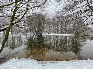 Winter Flood in Forest with Bare Tree Reflections in Water. High quality photo