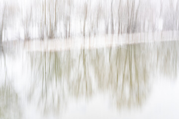 Abstract Winter Forest Motion Blur - Vertical Lines. High quality photo