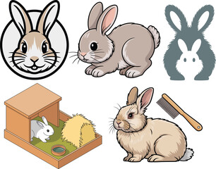 Angora rabbit cute fluffy bunnies with hutch and grooming set