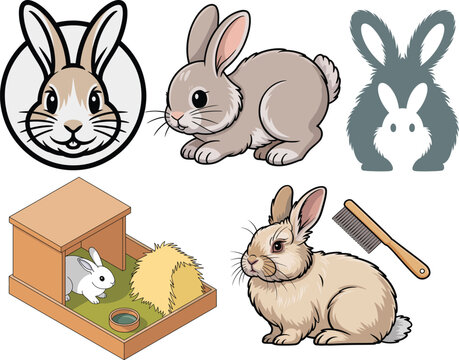 Angora rabbit cute fluffy bunnies with hutch and grooming set