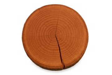 Round wood log slice showing tree rings and crack, natural timber texture for carpentry and growth concept