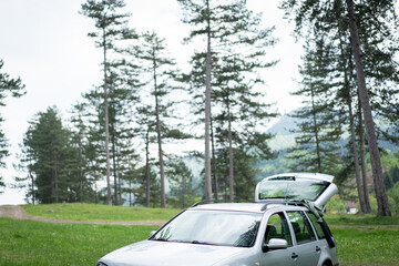 Silver Hatchback Parked in Pine Forest Clearing. High quality photo