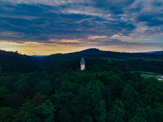 Grzybek. © szalenibracia