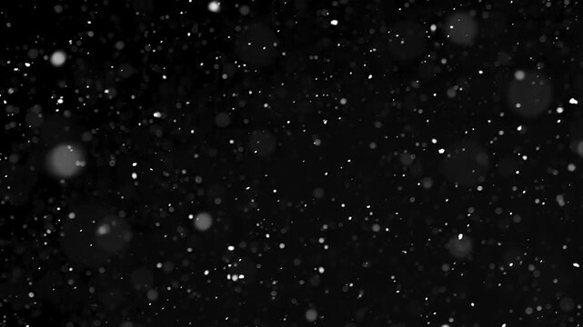 Real Snow Falling Slowly on Black Background, Cold Winter Snowing Overlay