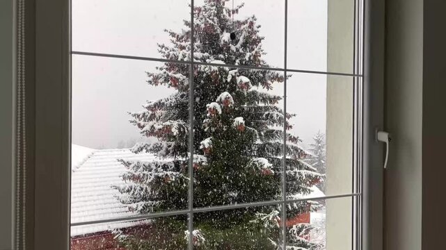 Indoors video of snowing outside on tree. High quality 4k footage