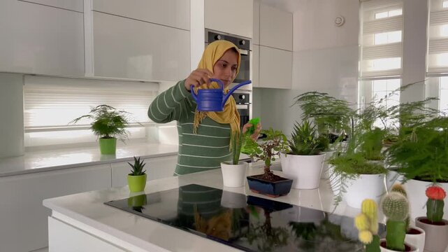 Video of muslim woman watering her plants in home. High quality 4k footage