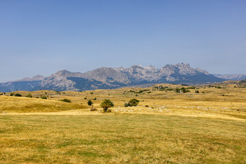 Mountain landscape with golden grassy field