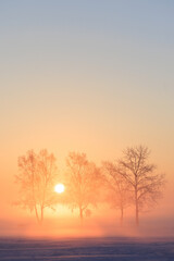 Obraz premium 朝焼けと霧氷