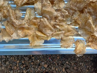 Drying raw Jengkol crackers in The Yard