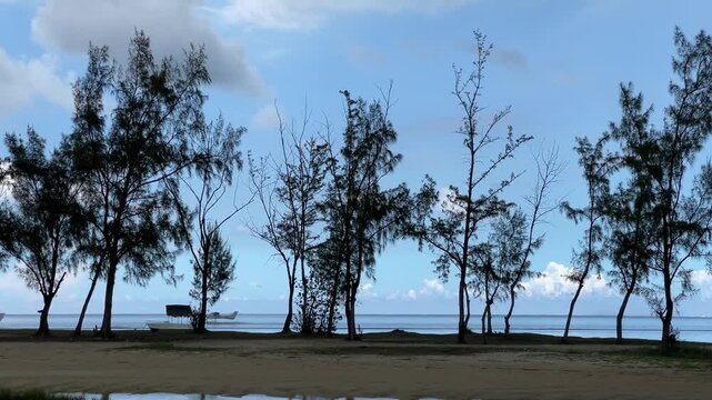 Tropical Seaplane Taking Off from Crystal Clear Ocean Waters with Silhouetted Pine Trees and Sandy Beach in Foreground