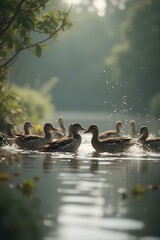 ducks in the lake