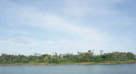 Panoramic view of a serene lake with lush green forest under a clear sky