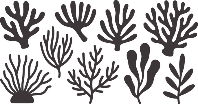Minimalist black and white coral and seaweed silhouettes collection