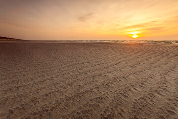 Fototapeta premium Golden Sunset Over the Curonian Spit with Weathered Driftwood