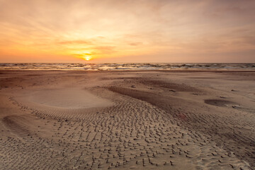 Fototapeta premium Golden Sunset Over the Curonian Spit with Weathered Driftwood
