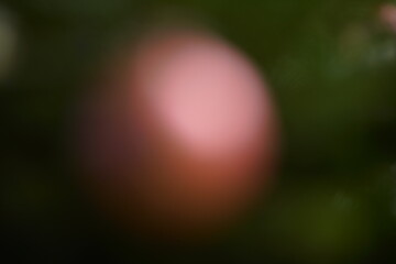 Xmas design element baubles