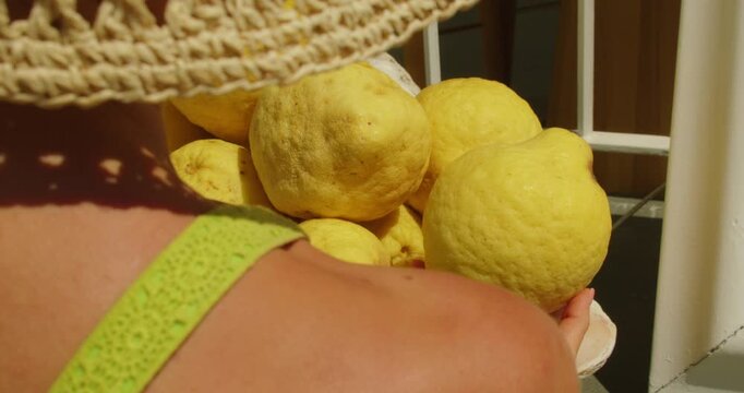 A woman holds large ripe Capri lemons in summer sunlight near a local market stall