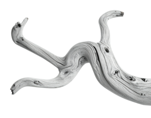 Black and white macro shot of a weathered, intricately twisted piece of deadwood