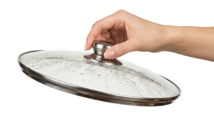 Hand lifting glass pot lid