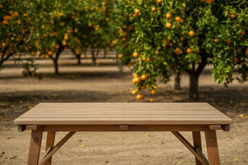 Fototapeta premium Close up view of wooden table top surface in orange fruit orchard grove for product display mock up background natural agriculture farm setting outdoor sunny landscape.