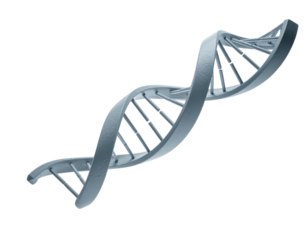 A metallic, stylized 3D representation of a DNA double helix against a black backdrop