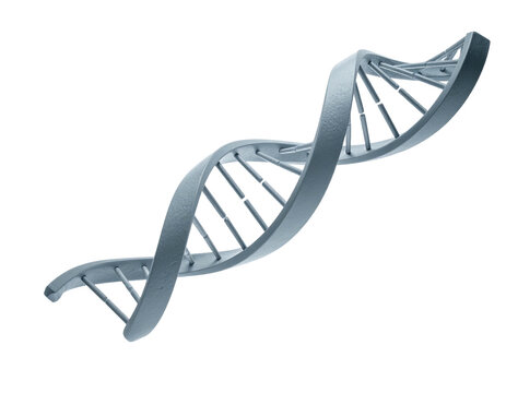 A metallic, stylized 3D representation of a DNA double helix against a black backdrop - Powered by Adobe