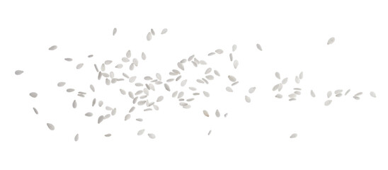 Macro organic sesame seeds isolated on white, top view