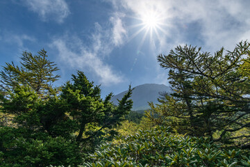 The summit of Mount Fuji seen from the path leading to the Okuniwa Observatory just before the fifth station.