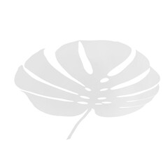 Ambient Leaf Shadow Overlay on Transparent Background