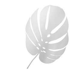 Side Light Leaf Shadow on Transparent Background