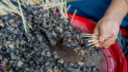 Preparing to make snail satay (Indonesian snail skewers). Skewering the snail meat. © Mang Kelin