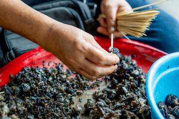Preparing to make snail satay (Indonesian snail skewers). Skewering the snail meat. © Mang Kelin